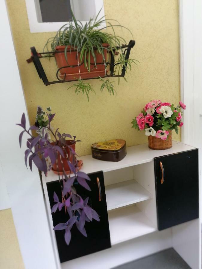 Apartman Manuela Rijeka Extérieur photo